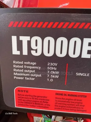 LT9000EB-8 Premier 7.5kva Petrol Keystart Generator