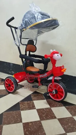 Tricycle With Canopy * 