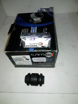 Lower Arm Bush Front Probox New Model