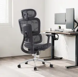 Office Chair: Ergonomic Mesh Chair