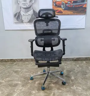 Office Chair: Ergonomic Mesh Chair