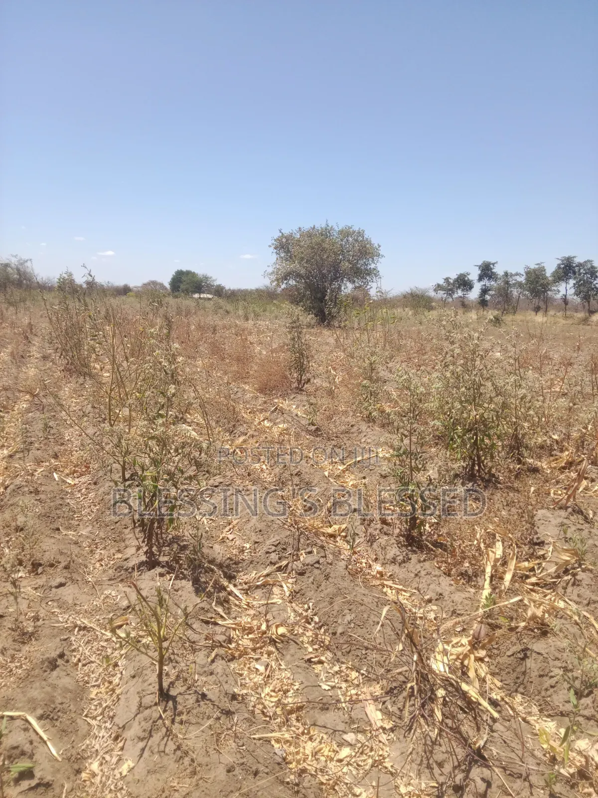 Kithyoko Land for Sale