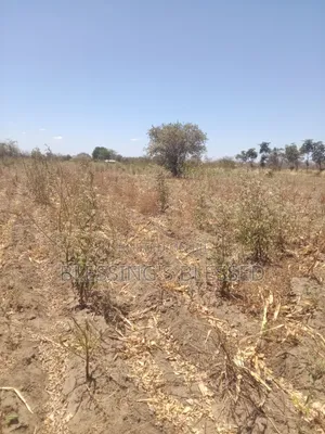 Kithyoko Land for Sale
