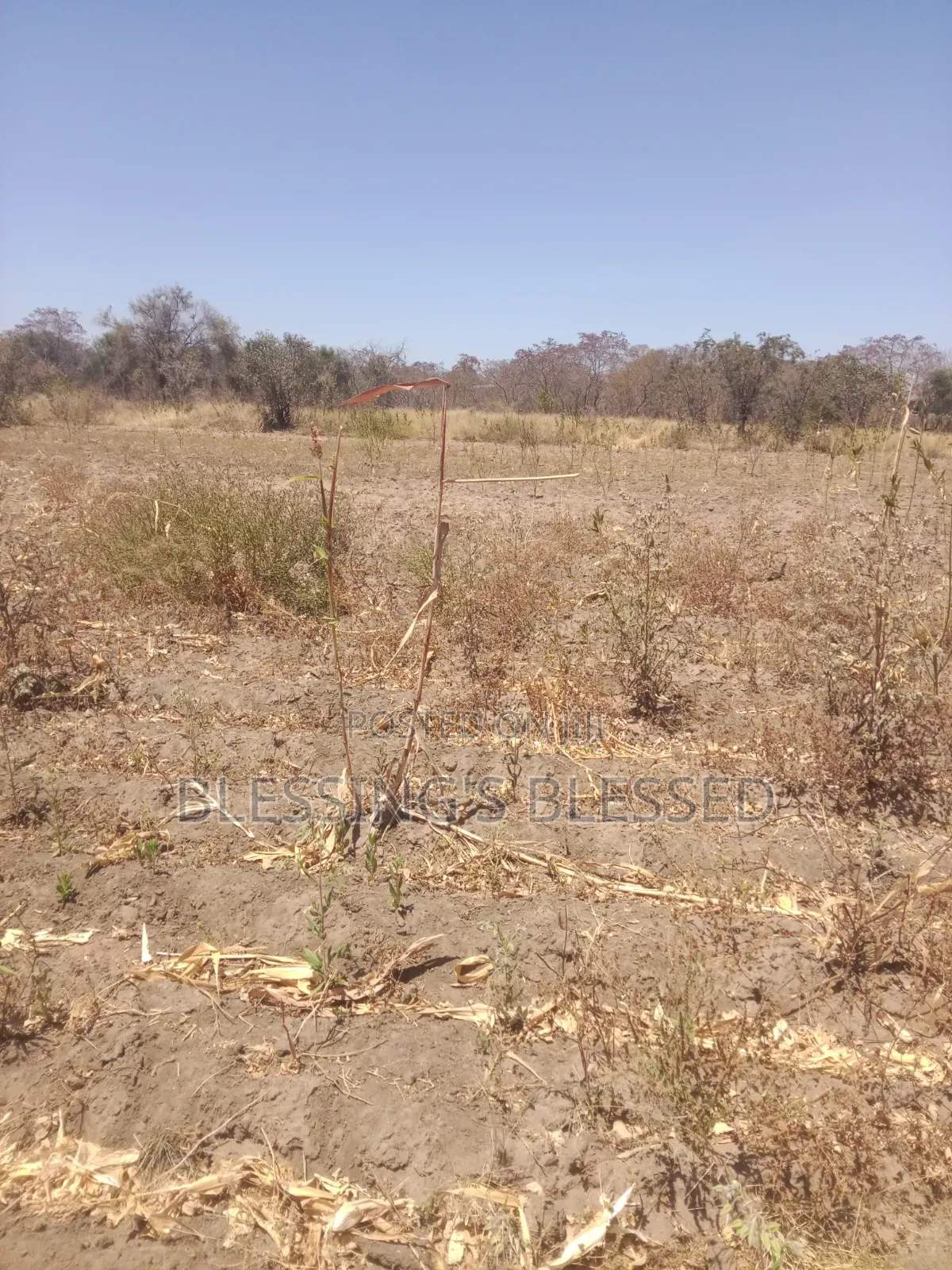 Kithyoko Land for Sale