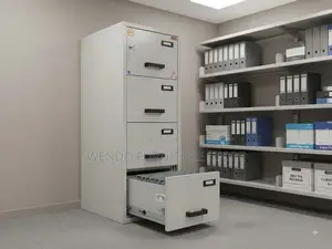Storage Unit; Metallic Heavy Duty Executive Storage Cabinet Safes