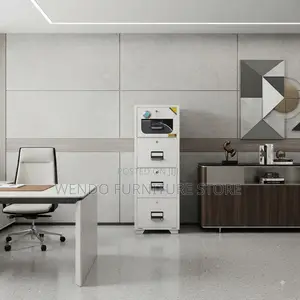 Storage Unit; Metallic Heavy Duty Executive Storage Cabinet Safes