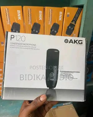 Original AKG P120 Studio Condenser Microphone – Brand New Factory Seal