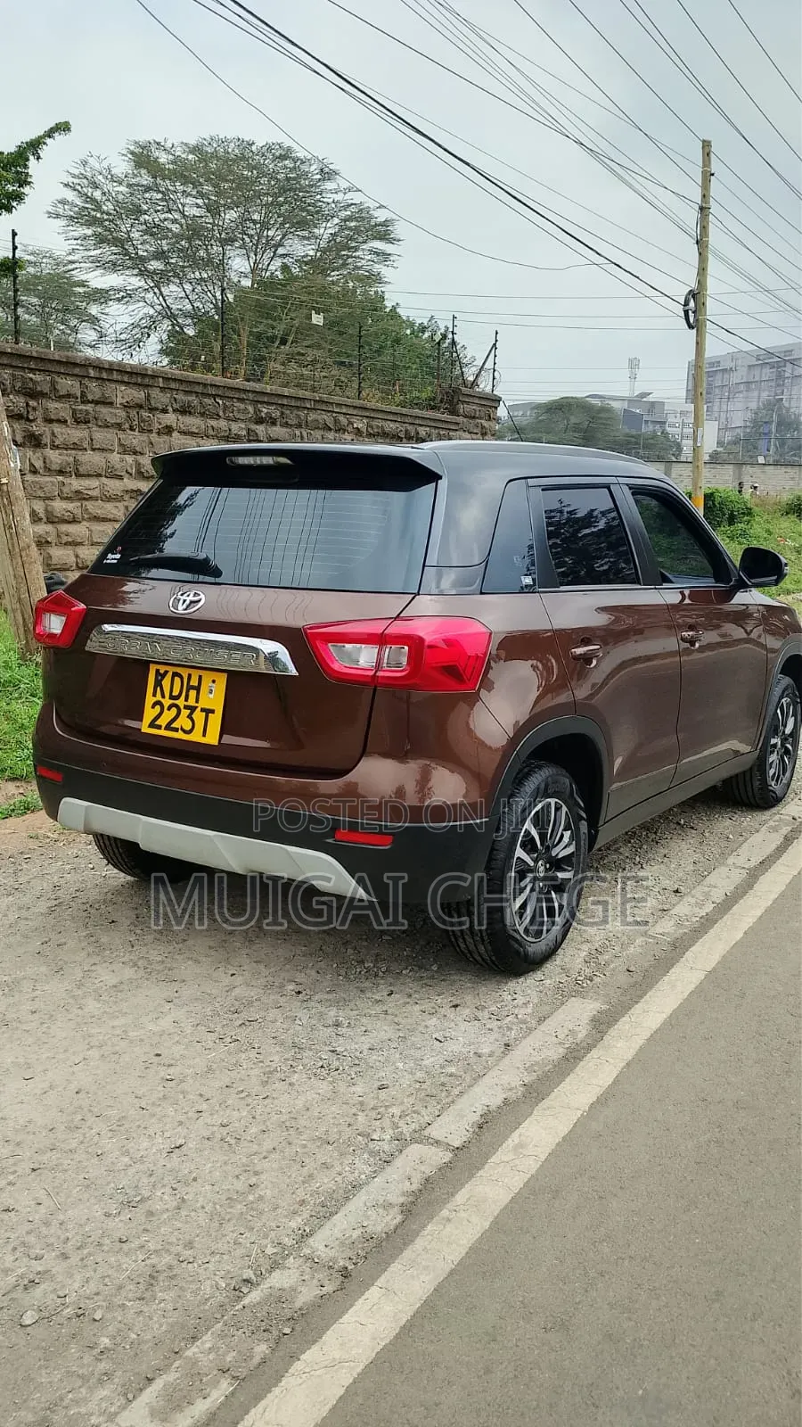 Toyota Urban Cruiser 2021 Brown
