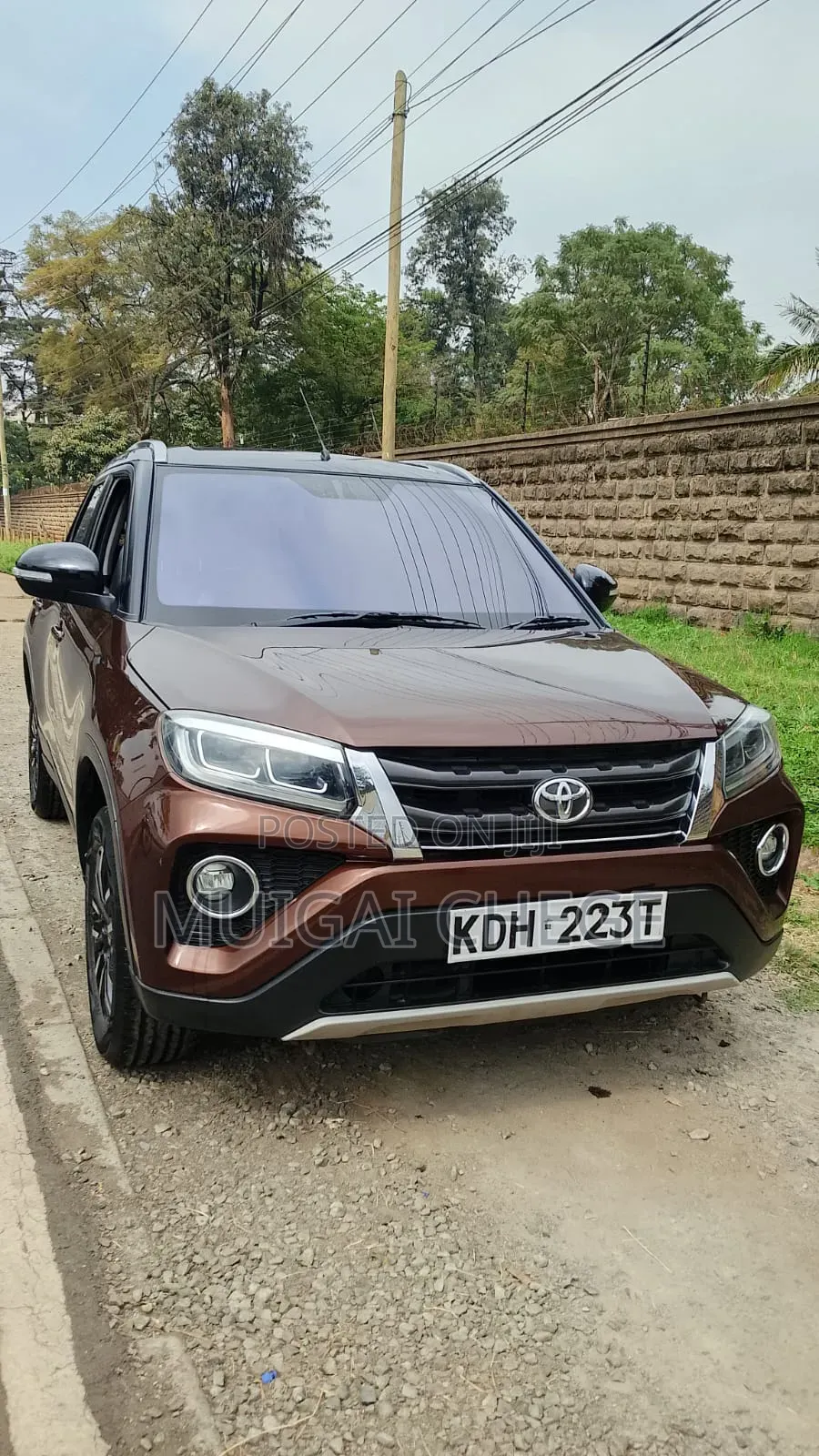 Toyota Urban Cruiser 2021 Brown