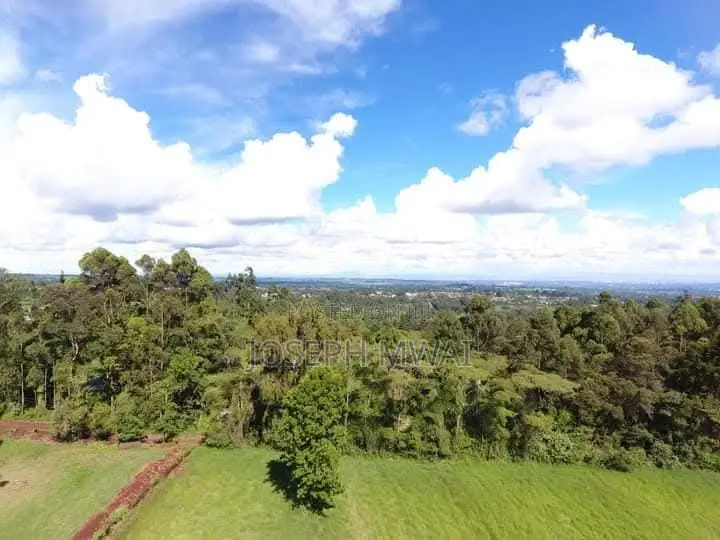 2 Acres Prime Land in Rironi Near Tilisi