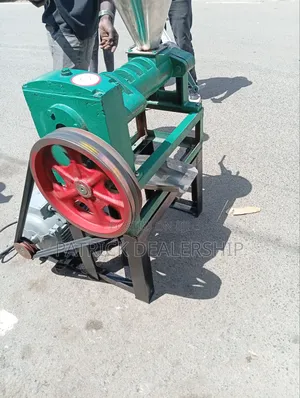 Screw Oil Pressing Machine