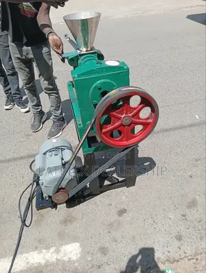 Divo Oil Pressing Machine