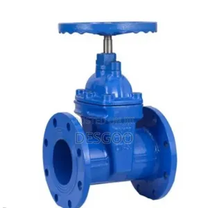 Sluice Valve 2"