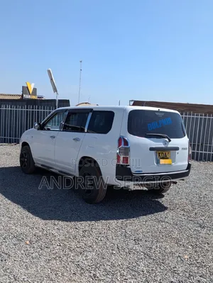 Toyota Probox 2013 White