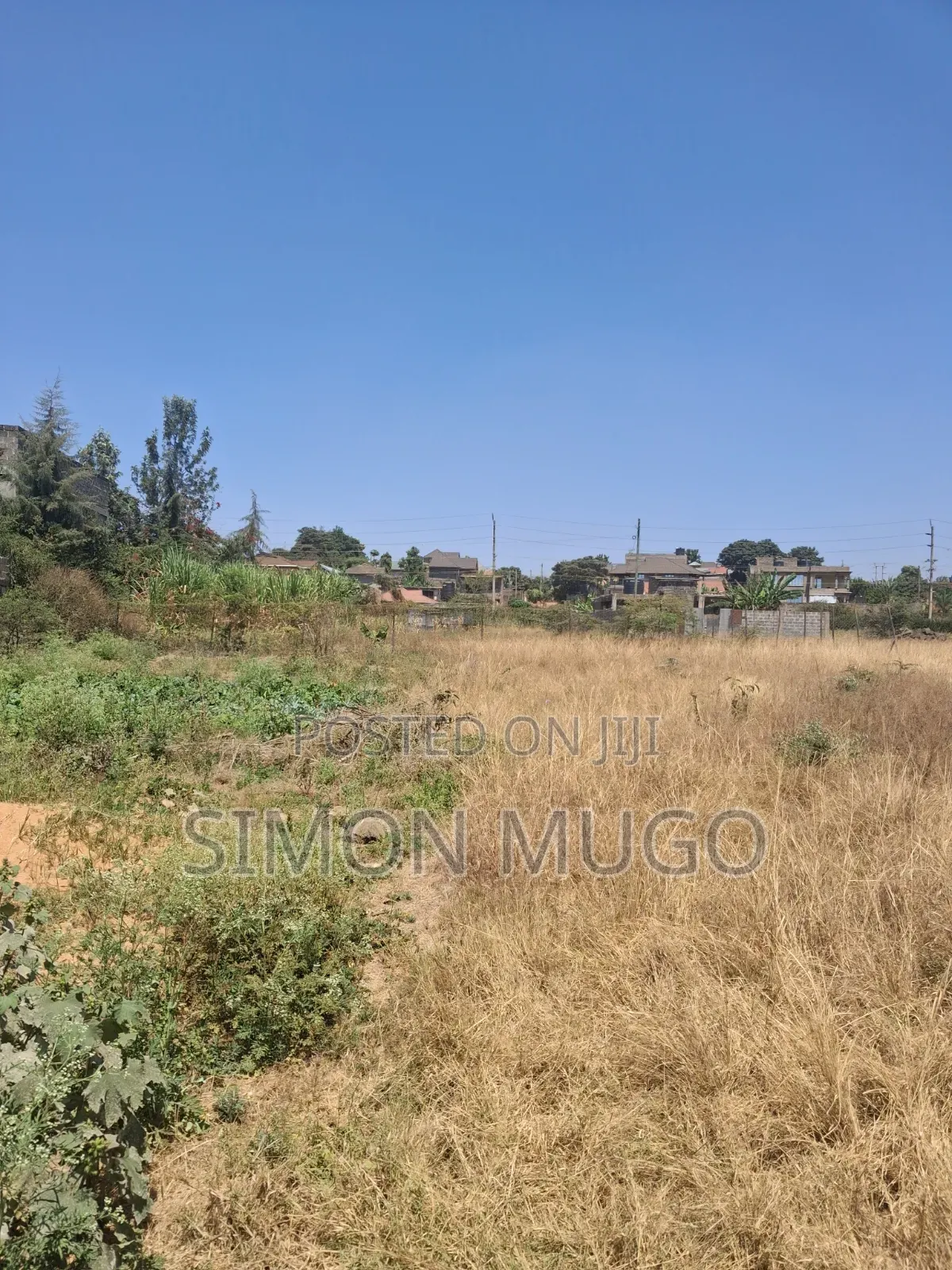 Muigai Inn Thika Road 50x100 in a Controlled Gated Court Ready Title