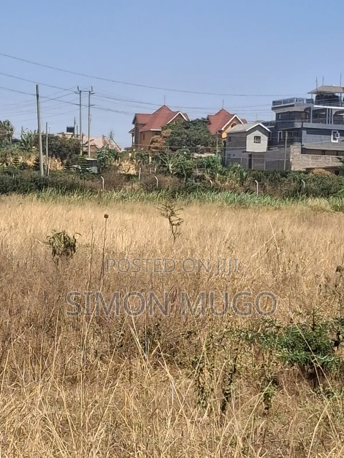 Muigai Inn Thika Road 50x100 in a Controlled Gated Court Ready Title