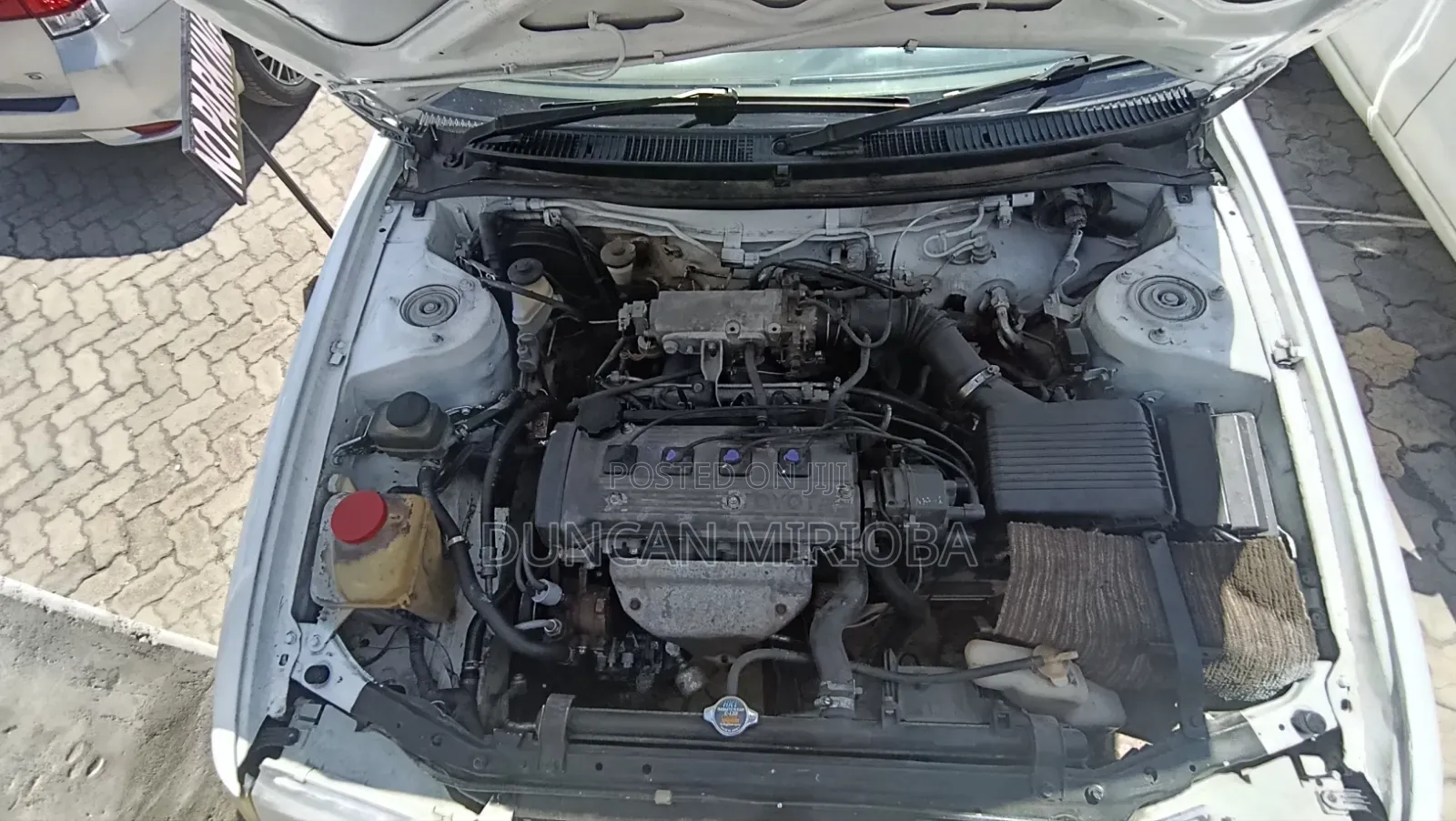 Toyota Corolla 2003 White