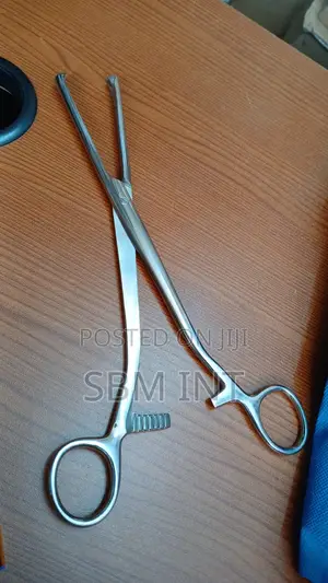 Lobe Holding Forceps
