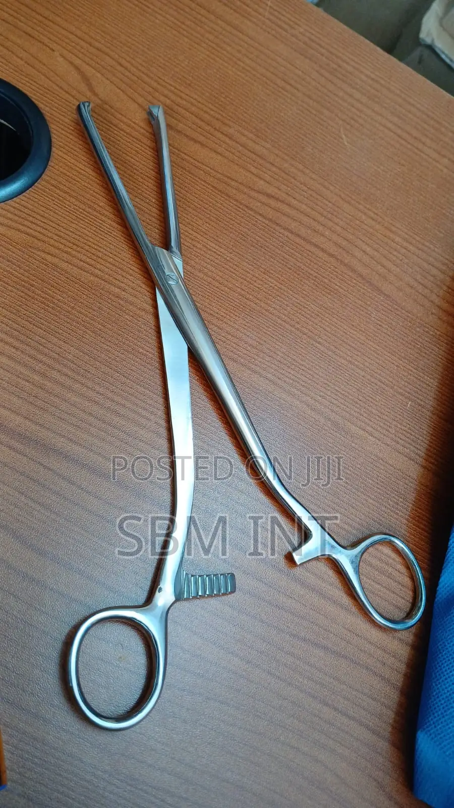 Lobe Holding Forceps