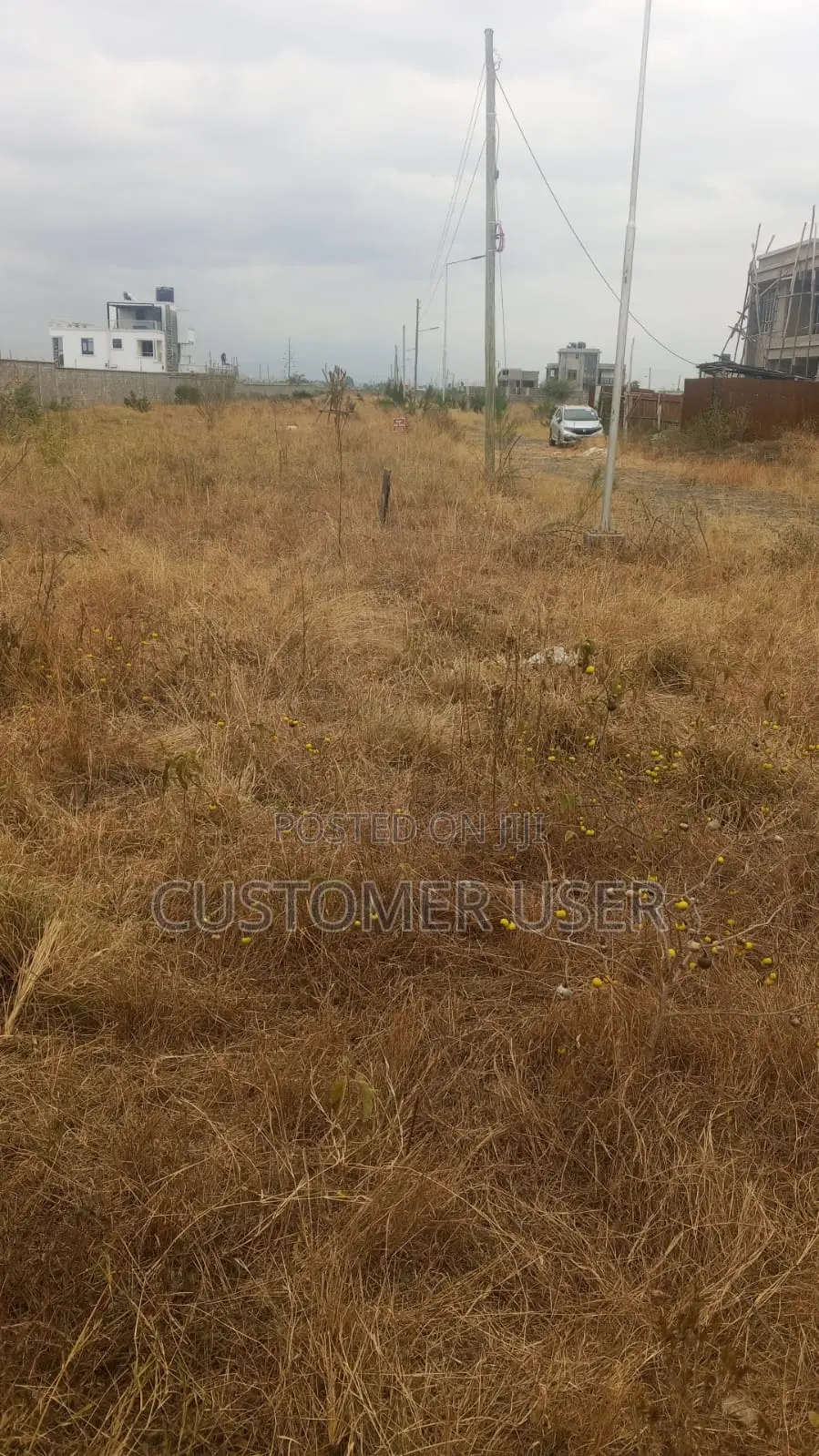 50 by 100 Residential Land in Kalimoni Juja