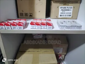 Spark Plugs