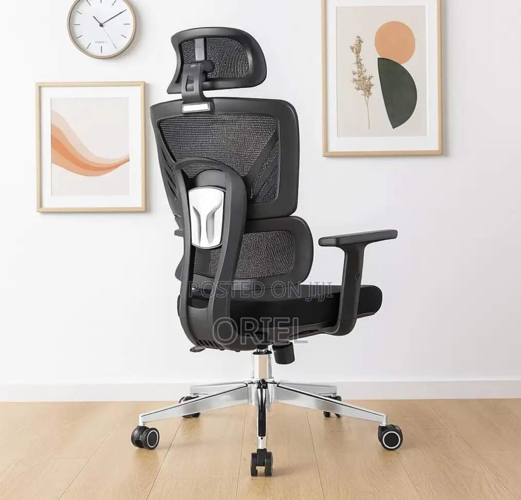 Office Chair : Breathable Orthopedic Office Chair