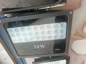 30w AC Floodlight