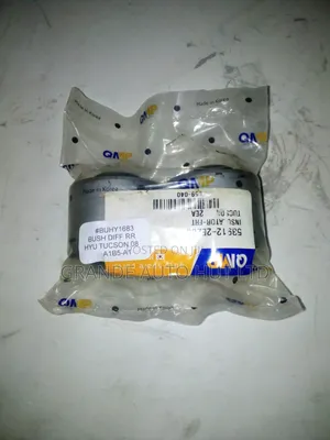 Bush Diff Rear Hyundai Tucson 2008