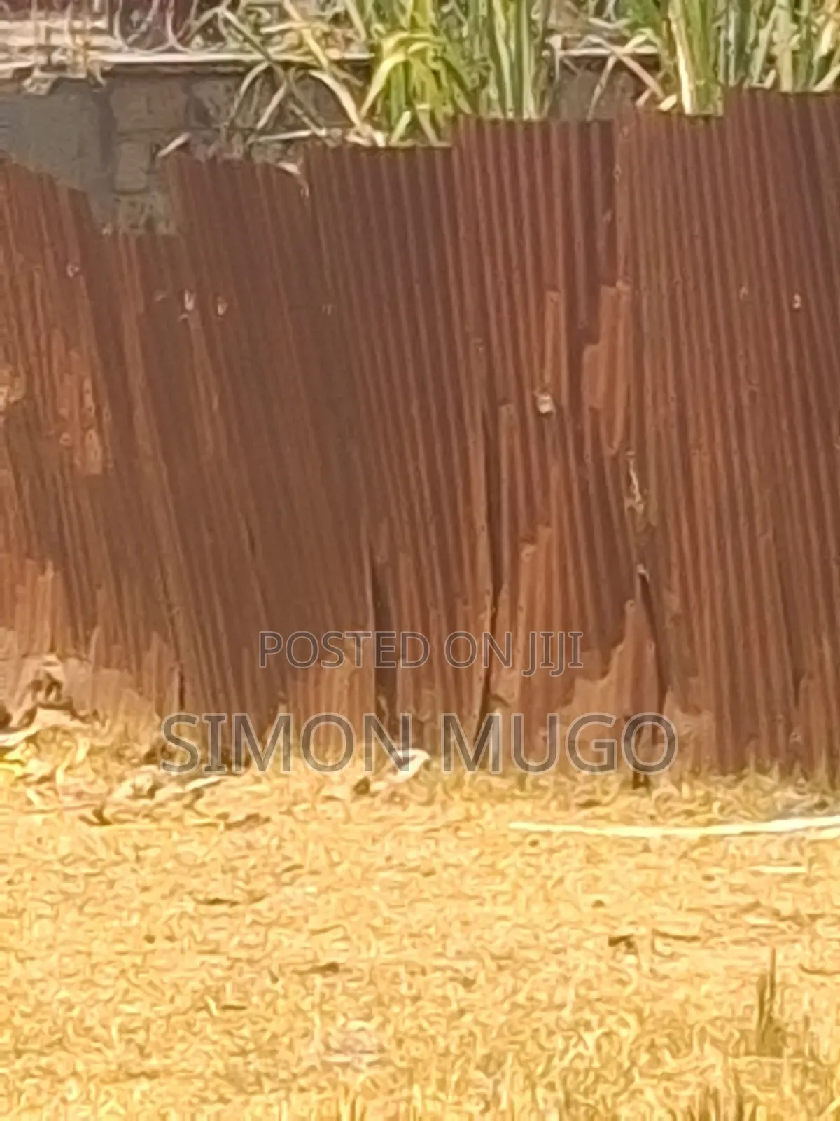 Ruiru Township Commercial 1.6ac Freehold Title Distress Sale 64m