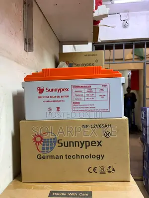 Sunnypex Np-12v 65ah