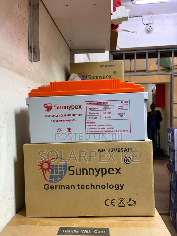Sunnypex Np-12v 65ah - main view