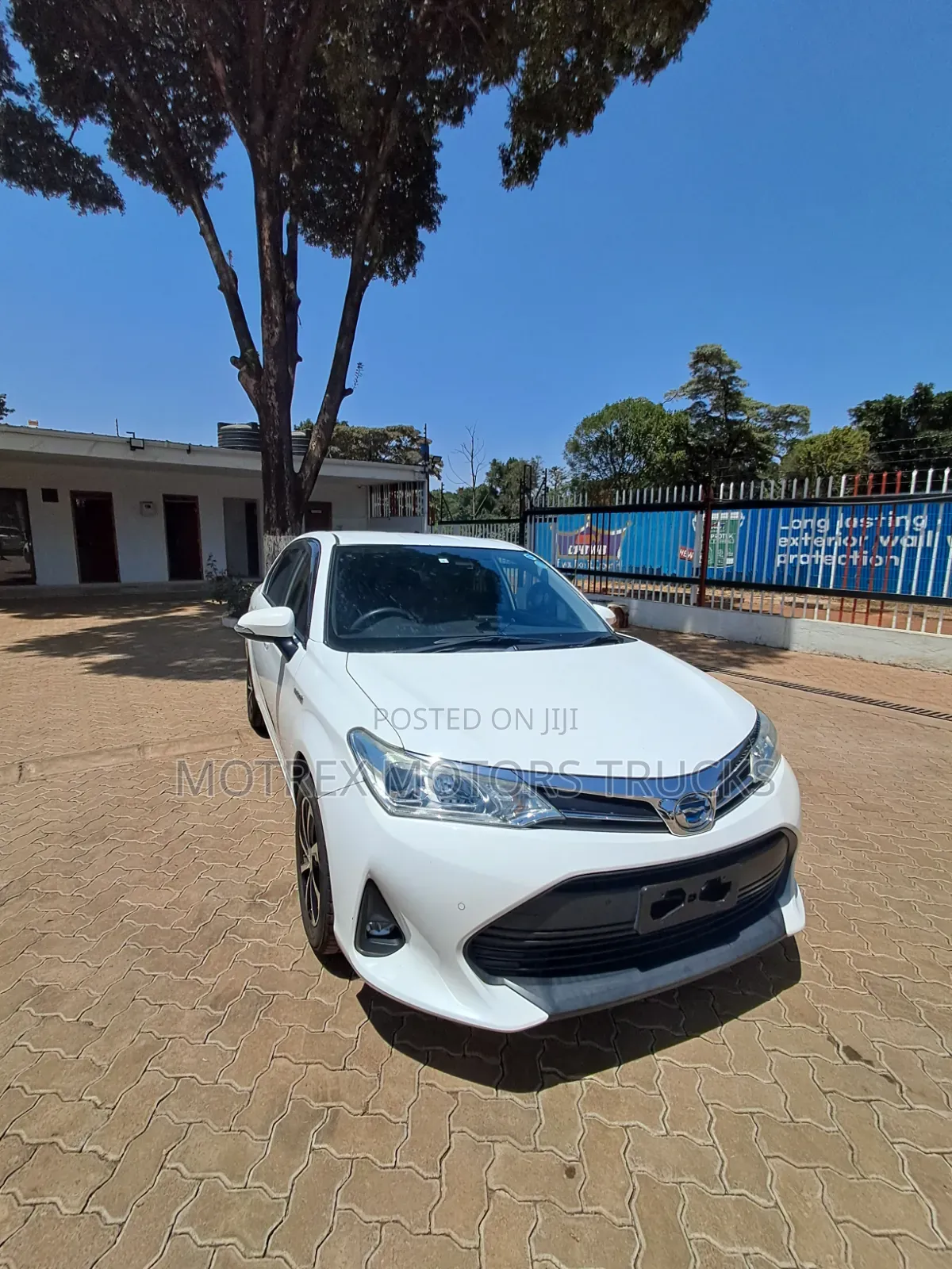 Toyota Axio 2019 White
