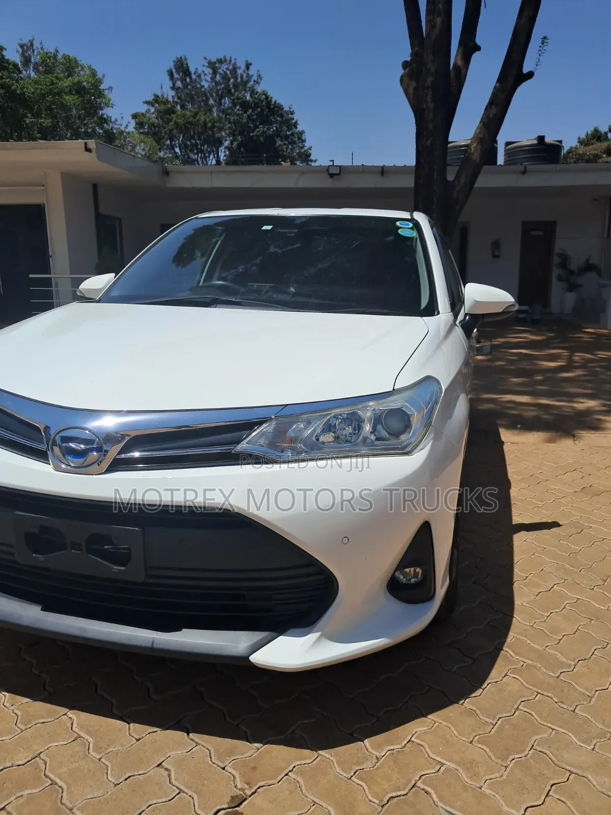 Toyota Axio 2019 White
