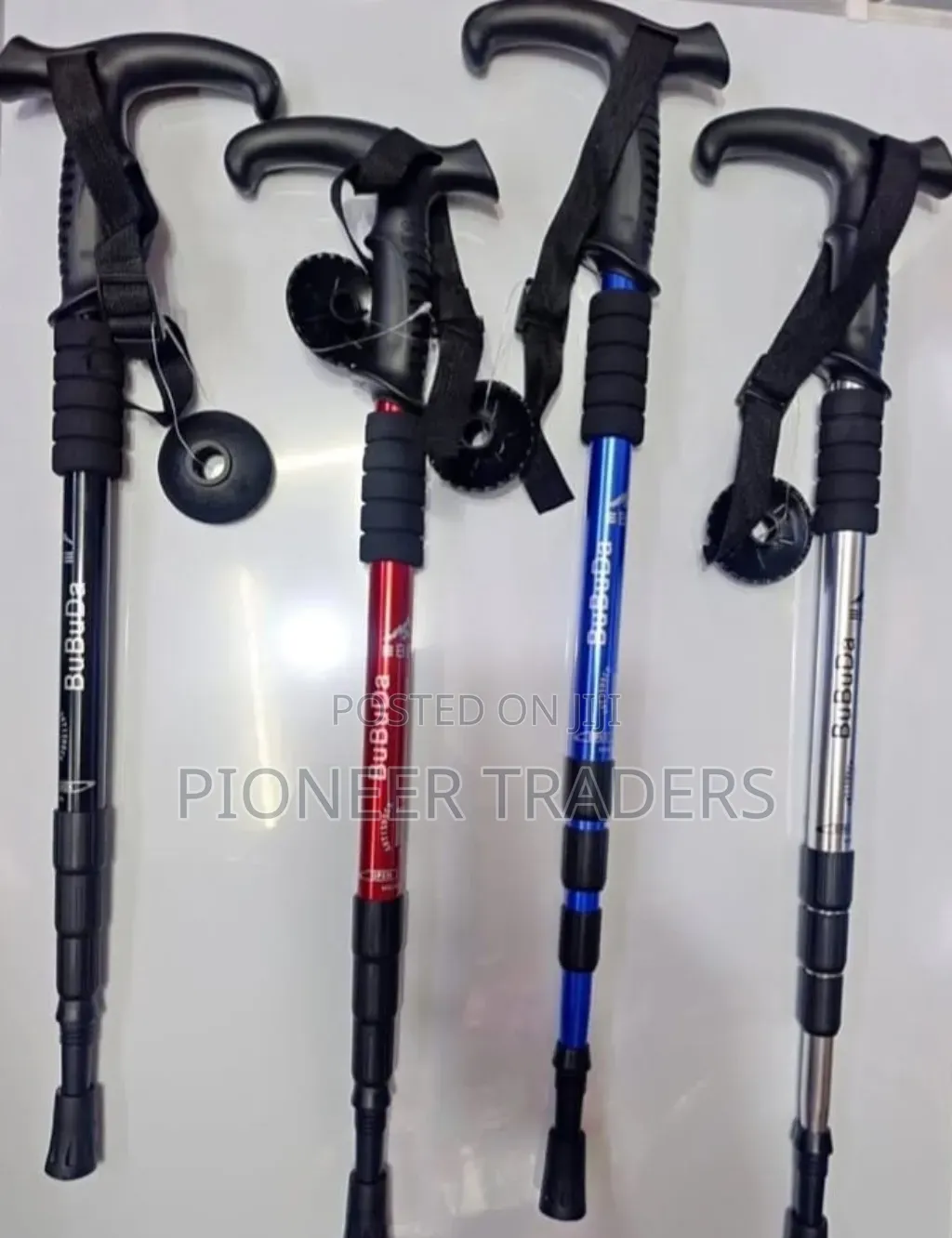 Hiking Stick