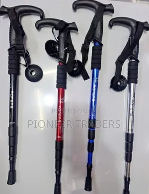 Hiking Stick