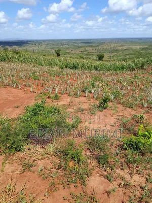 33Acres Pumwani at Affordable Price