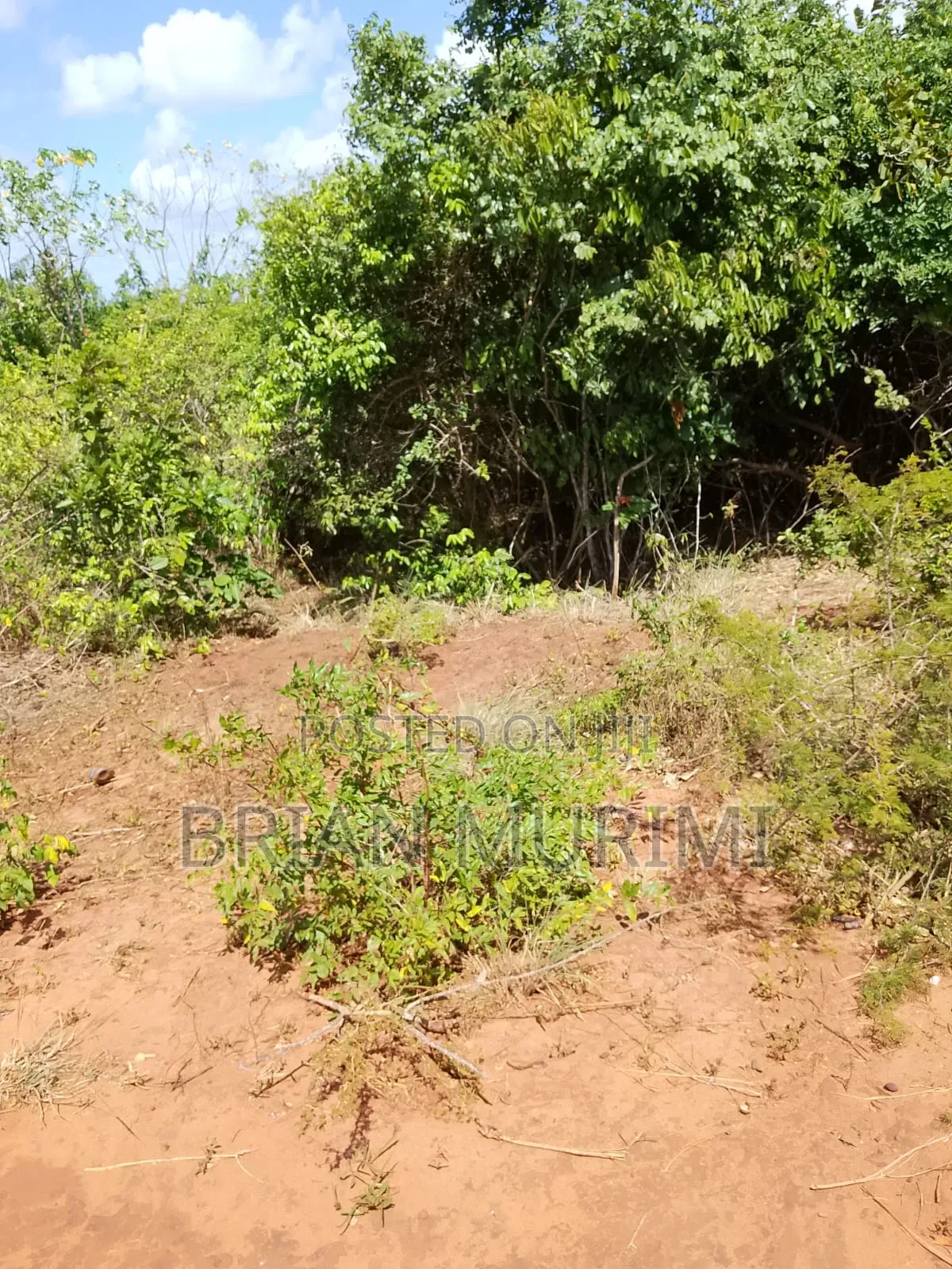 33Acres Pumwani at Affordable Price