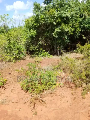 33Acres Pumwani at Affordable Price
