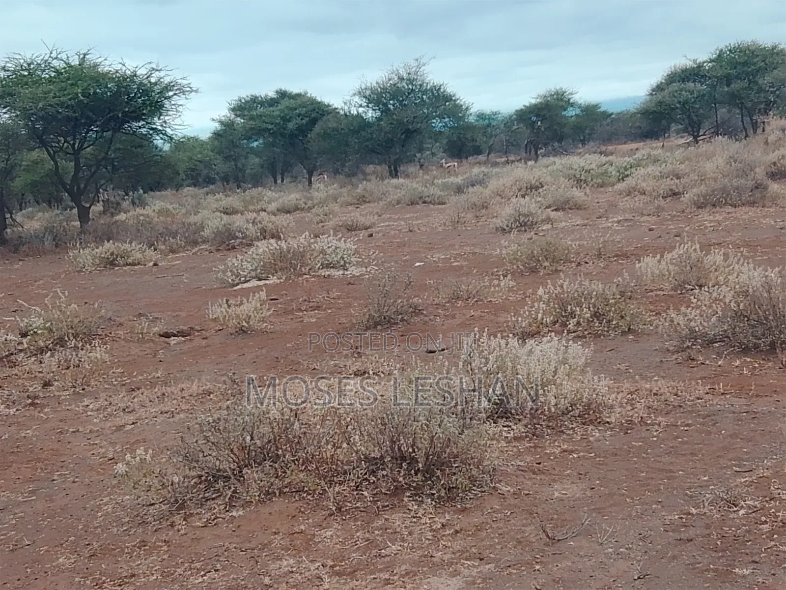 Prime 60acres Land for Sell in Amboseli