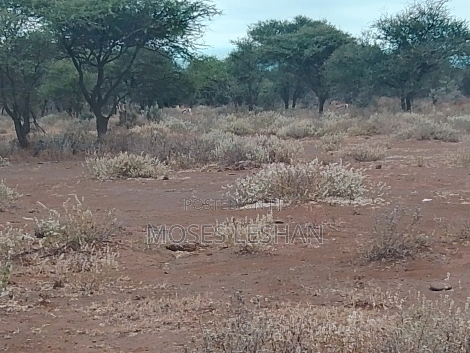 Prime 60acres Land for Sell in Amboseli