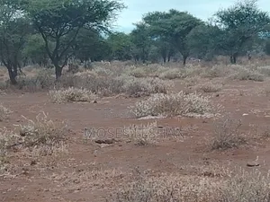 Prime 60acres Land for Sell in Amboseli