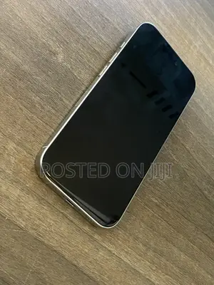Apple iPhone 16 Pro 256 GB Silver