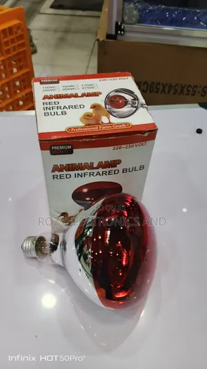 Chicken Bulb