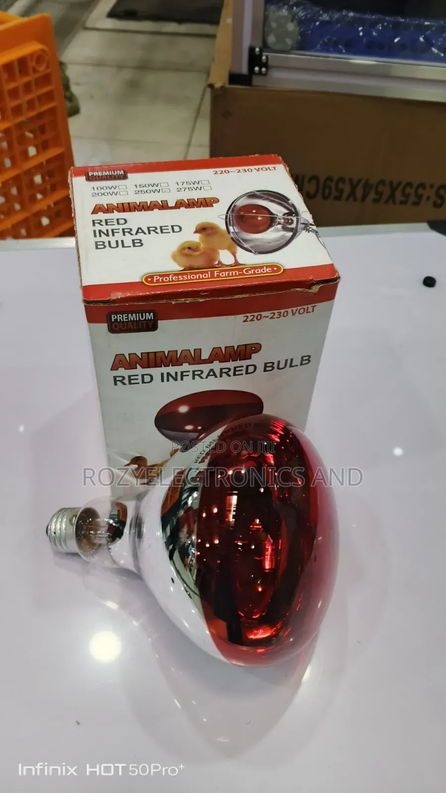 Chicken Bulb