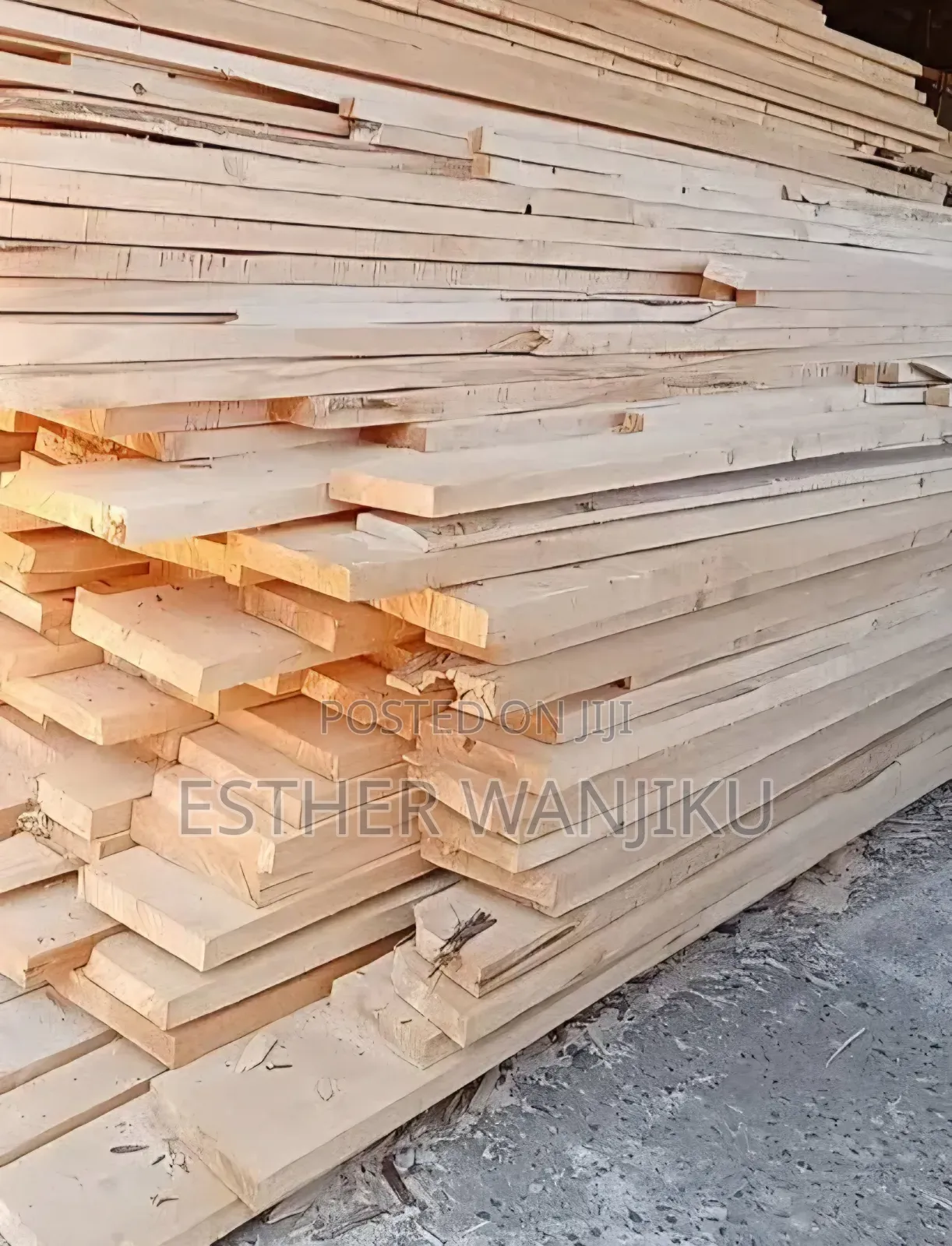 Bluegum Timber