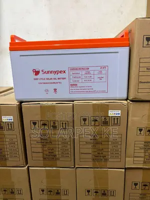 Sunnypex Np-12v 100ah