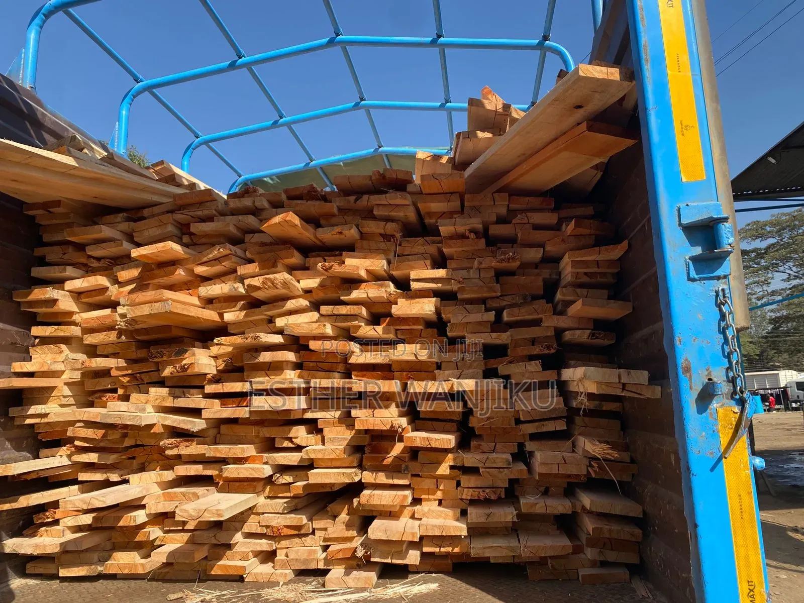 Pine Timber