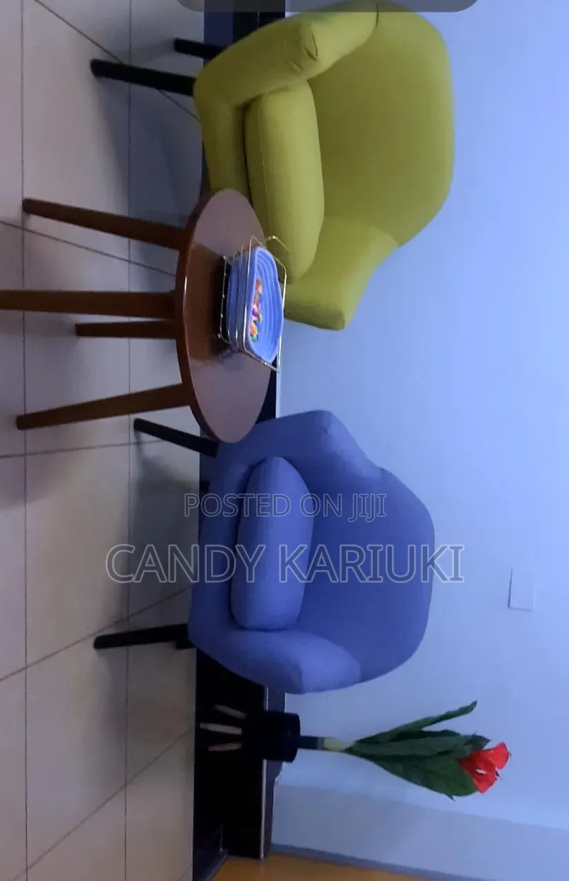 Modern Quality Accent Chairs