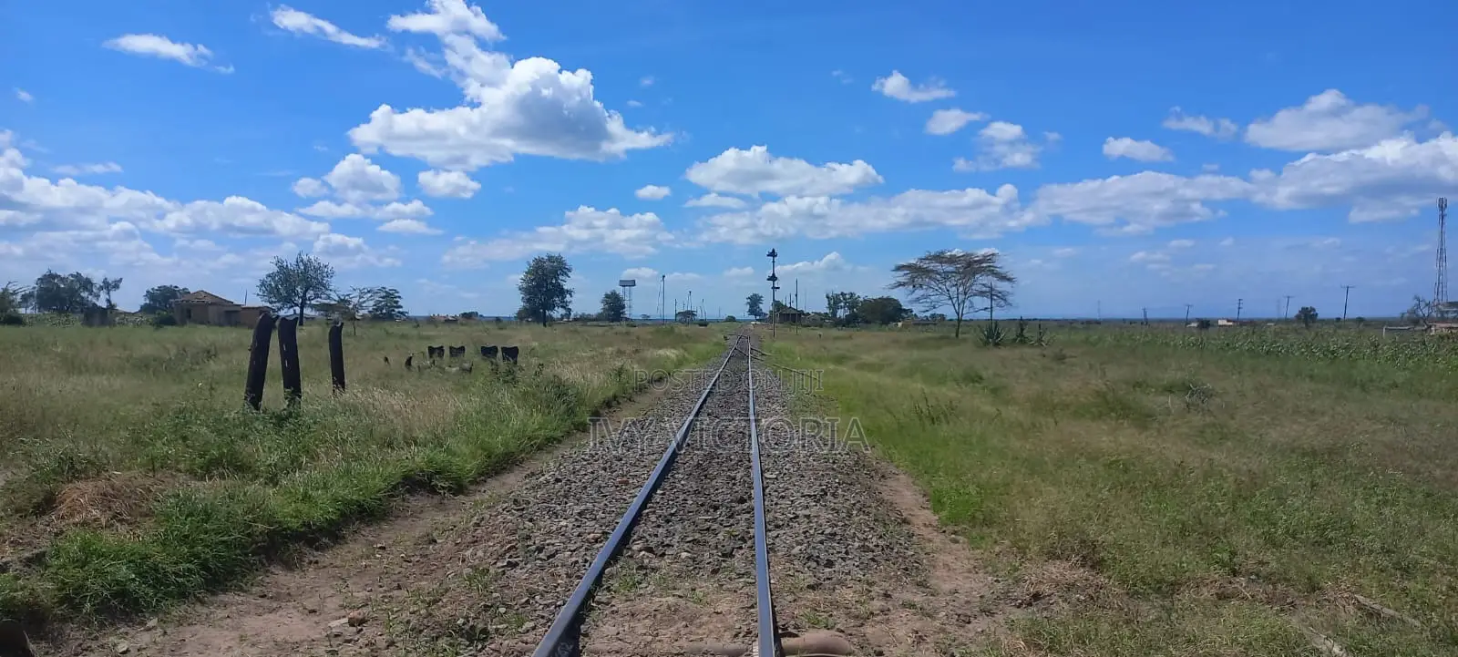Konza Plots