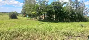 Konza Plots